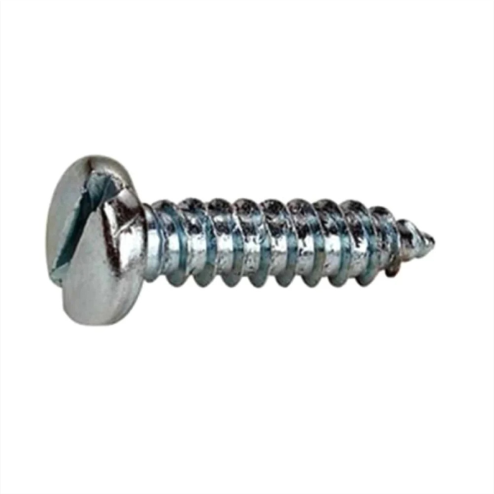 Pan Slotted Screw